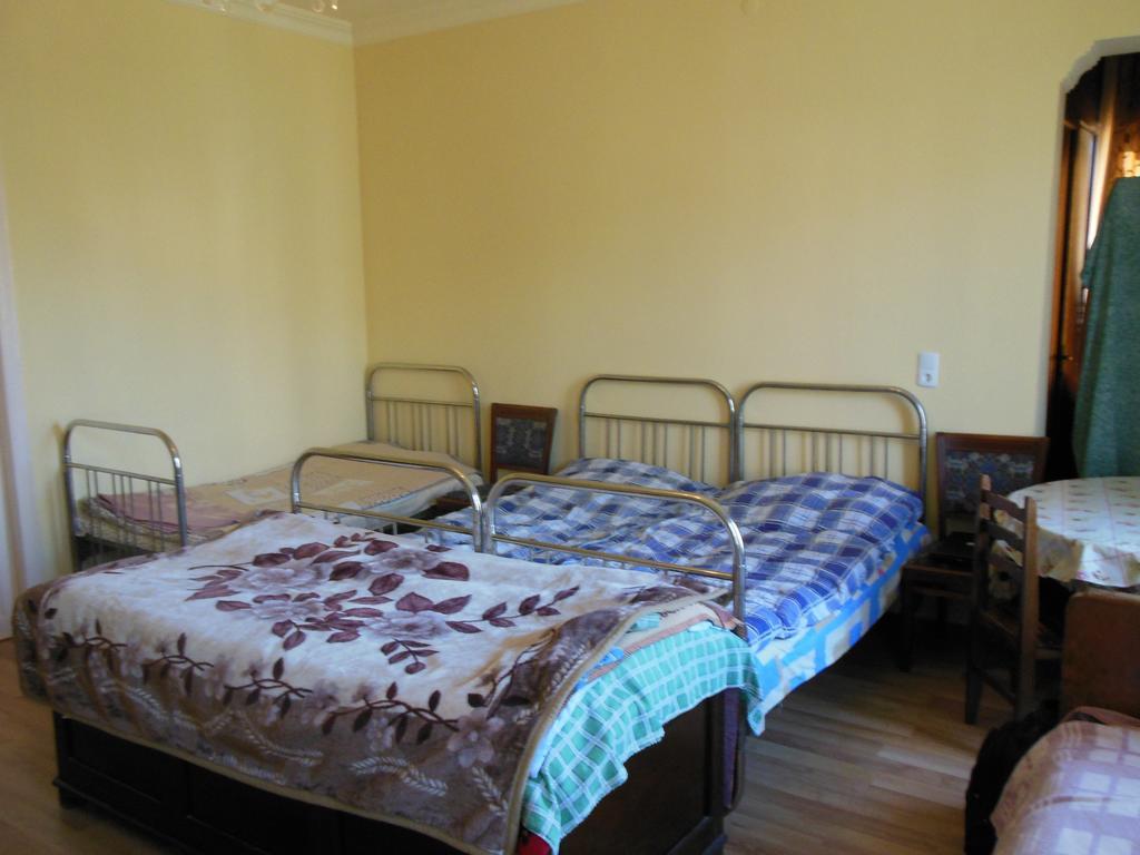 Medico And Suliko Guest House Кутаїсі Номер фото